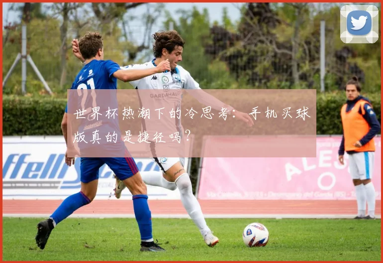 世界杯热潮下的冷思考：手机买球版真的是捷径吗？