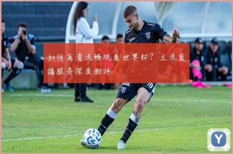 如何高清流畅观看世界杯？主流直播服务深度测评