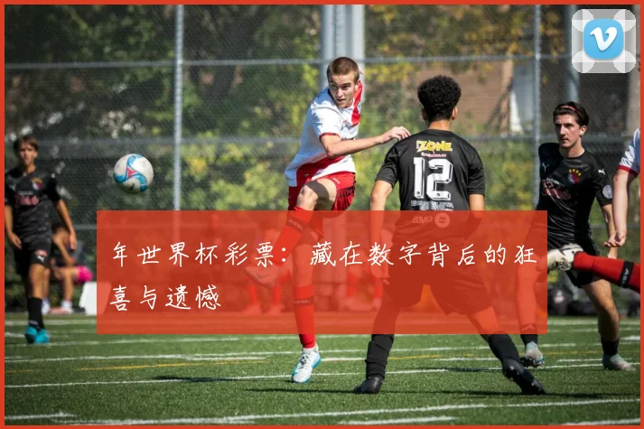 年世界杯彩票:藏在数字背后的狂喜与遗憾
