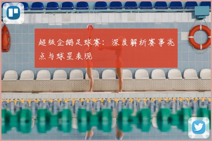 超级企鹅足球赛：深度解析赛事亮点与球星表现