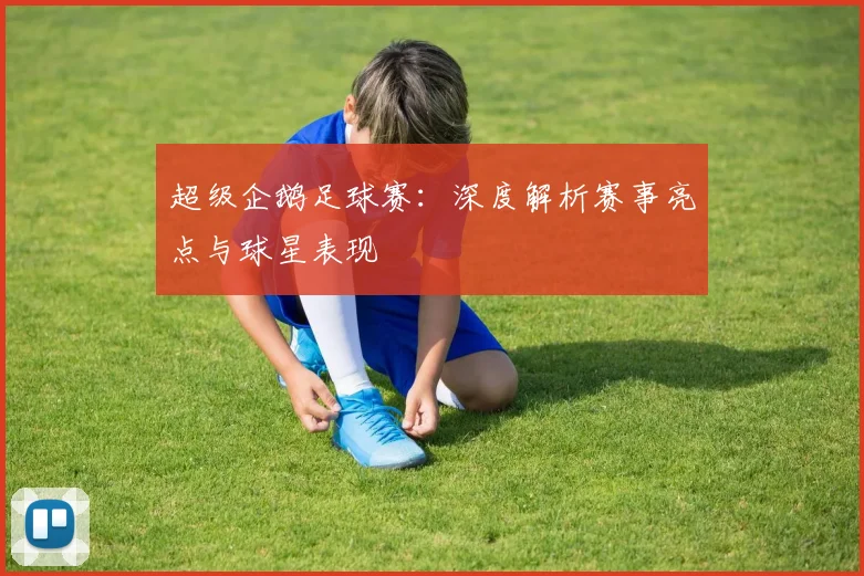 超级企鹅足球赛：深度解析赛事亮点与球星表现