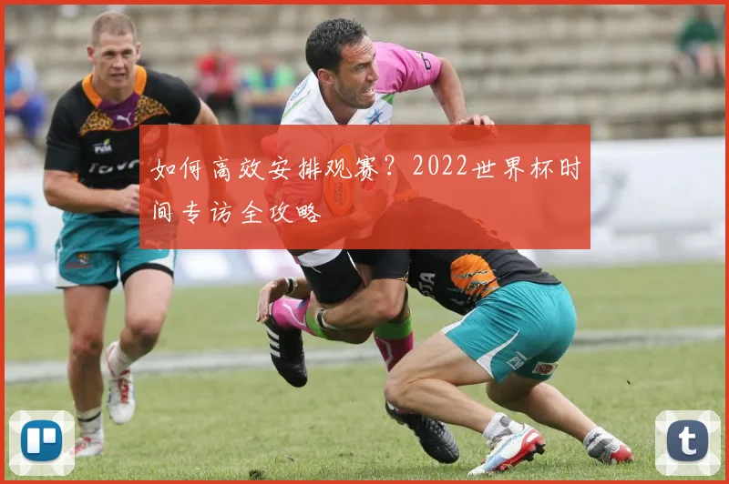 如何高效安排观赛？2022世界杯时间专访全攻略